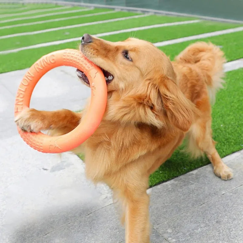 Pet Toy Dog Frisbee Teeth Grinding Training Ring for Small Dogs