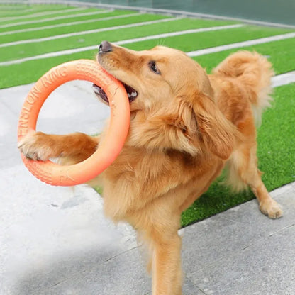 Pet Toy Dog Frisbee Teeth Grinding Training Ring for Small Dogs