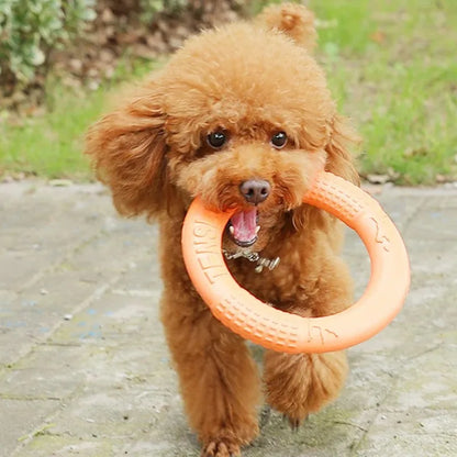 Pet Toy Dog Frisbee Teeth Grinding Training Ring for Small Dogs
